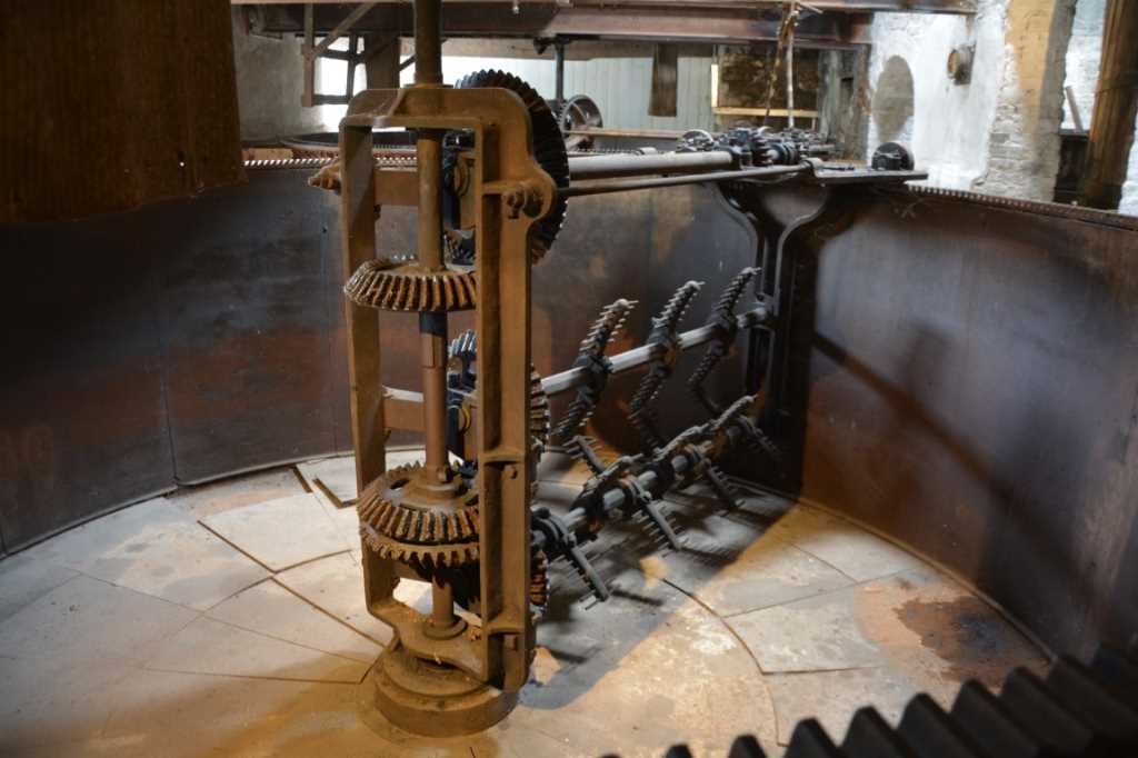DSC_5858Mittel_.JPG